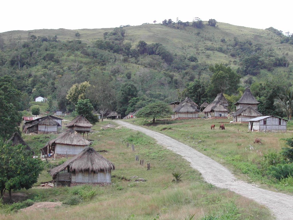Timor Leste village road