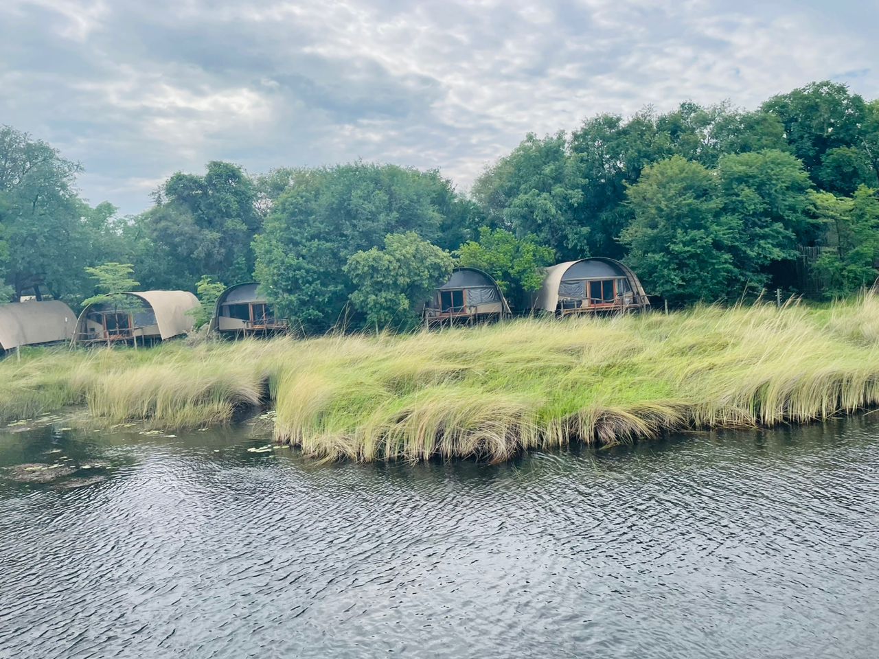 Moremi game reserve Botswana