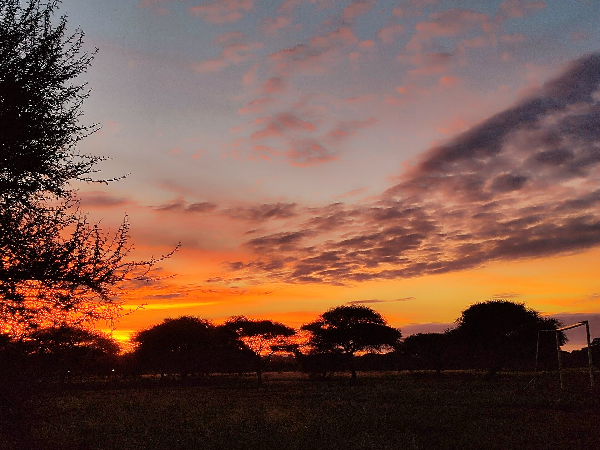 Botswana savannah landscape